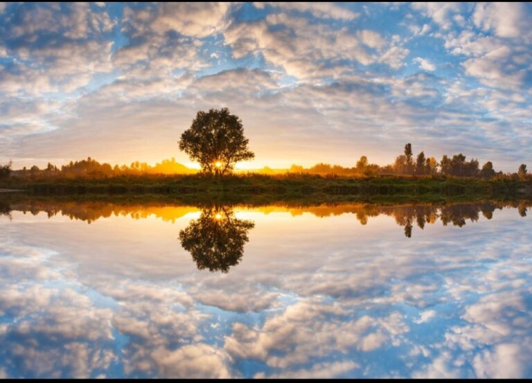 Living in Alignment — How Purpose Shapes Your Peace.
